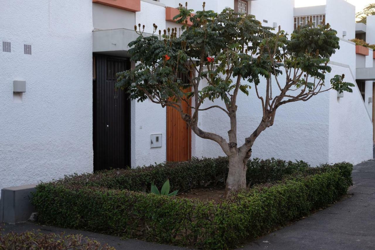 Zuzicka Primavera Costa Del Silencio Exterior photo